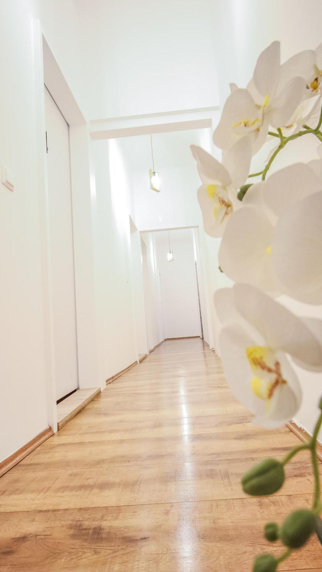 Comfortable Accommodations In The Alterlaa Area Lv6 Βιέννη Εξωτερικό φωτογραφία